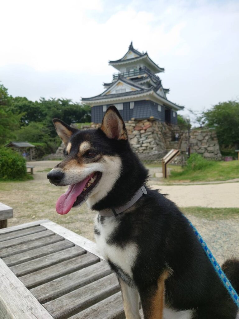 静岡県浜松城