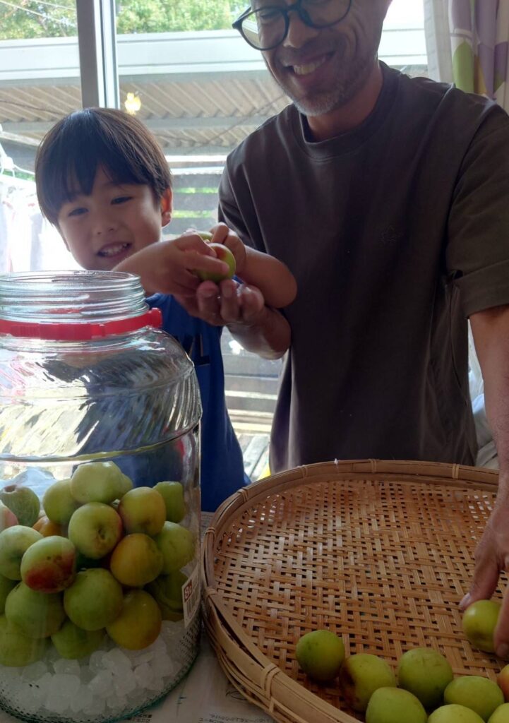 静岡県梅酒作り