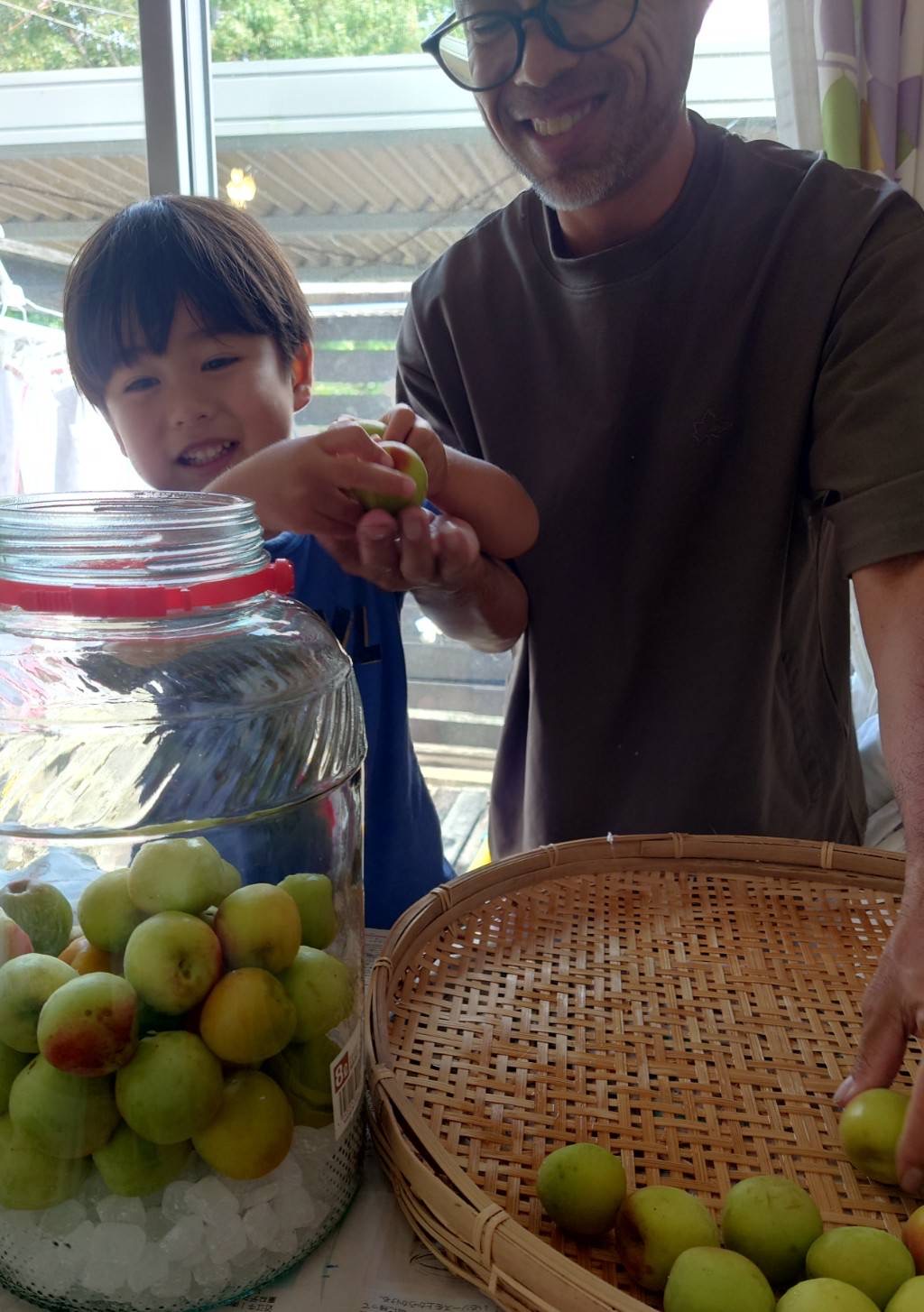 静岡県梅酒作り