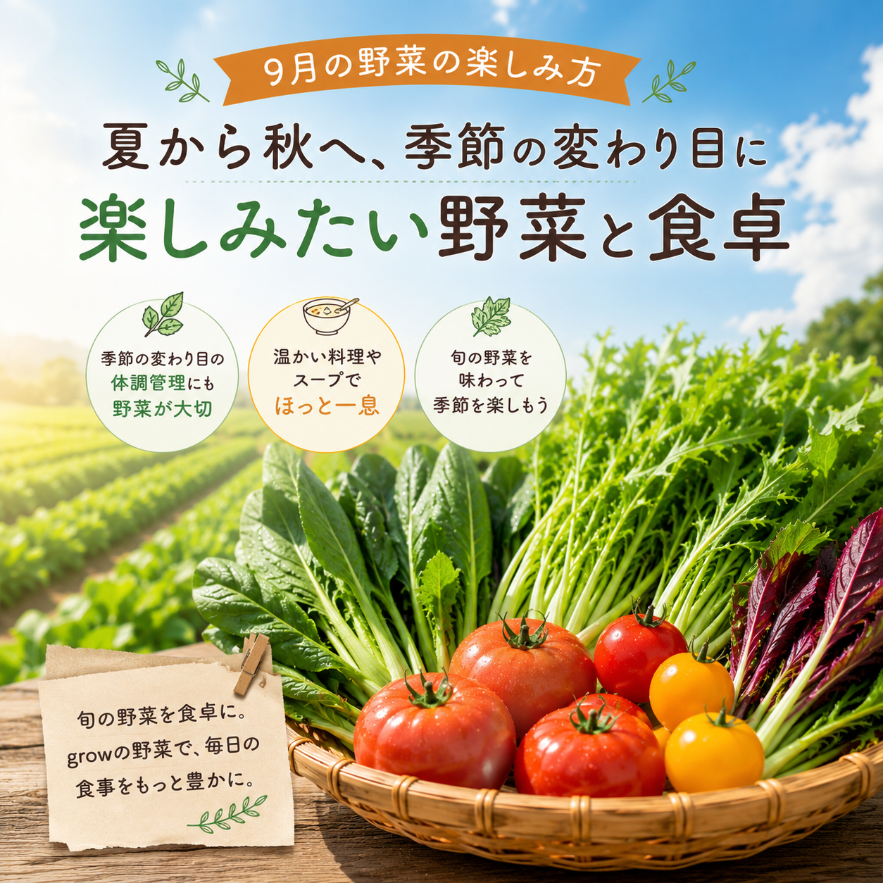 袋井市野菜農家