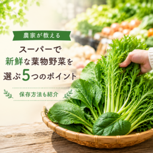 袋井市野菜農家