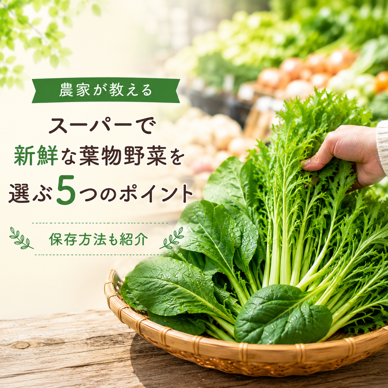 袋井市野菜農家