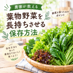 袋井市野菜農家